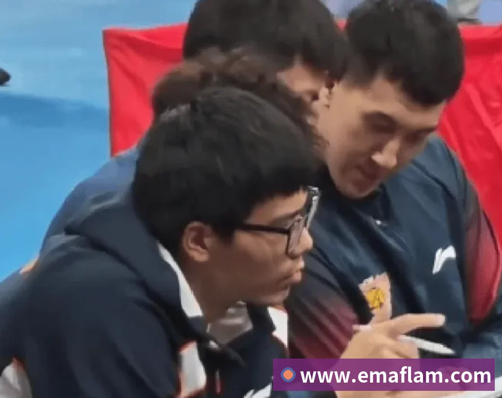 赛事专题整合