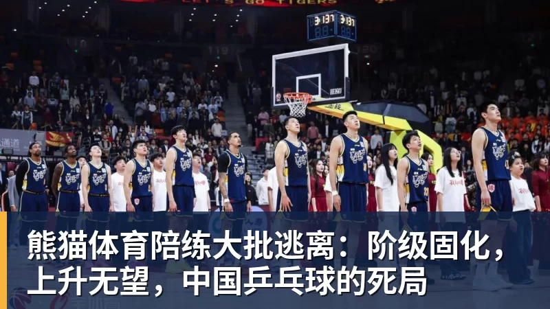 熊猫体育陪练大批逃离：阶级固化，上升无望，中国乒乓球的死局